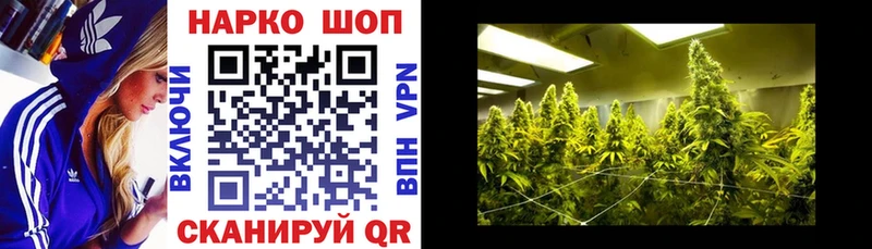 Магазин наркотиков Краснознаменск МАРИХУАНА  Амфетамин  Кодеин  MEGA маркетплейс  APVP  ГАШИШ  Псилоцибиновые грибы 