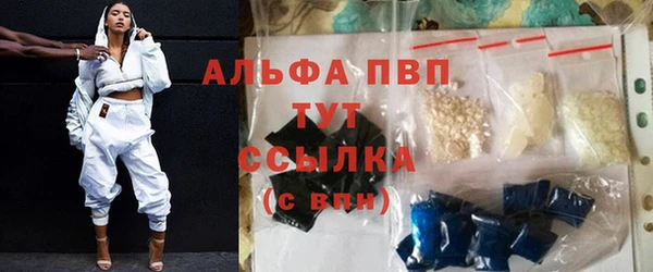 индика Лабытнанги