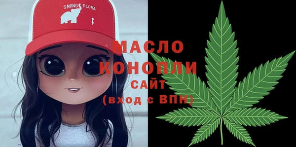 соль ск Лагань