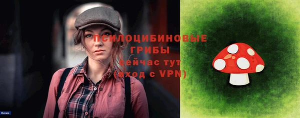PSILOCYBIN Ладушкин