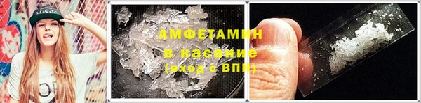 индика Лабытнанги