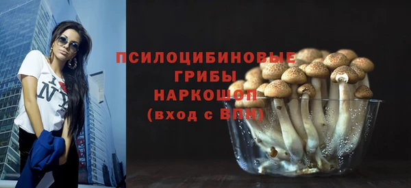 индика Лабытнанги