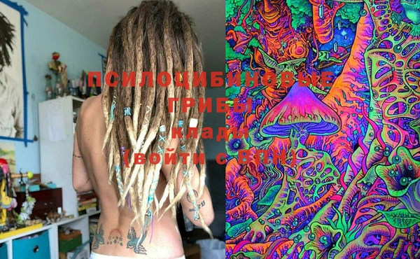 PSILOCYBIN Ладушкин