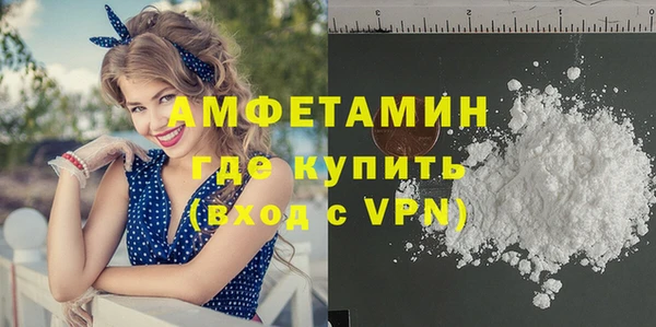 индика Лабытнанги