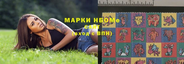 индика Лабытнанги