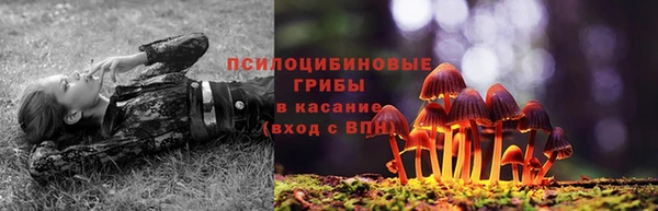 PSILOCYBIN Ладушкин