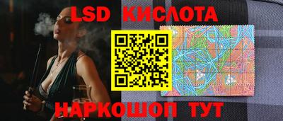 СК Кингисепп