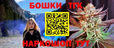 СК Кингисепп