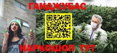 СК Кингисепп
