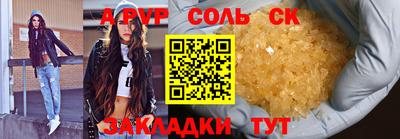 СК Кингисепп