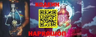 СК Кингисепп