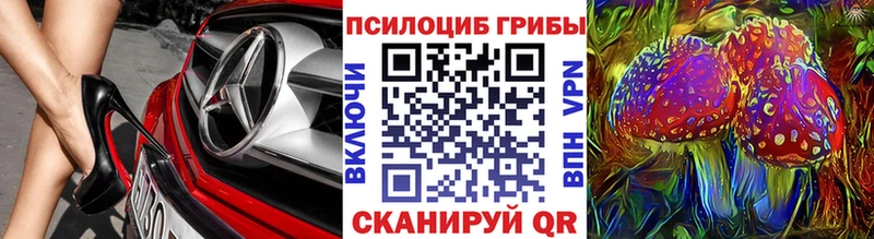 Псилоцибиновые грибы Magic Shrooms  МЕГА зеркало  Краснознаменск 